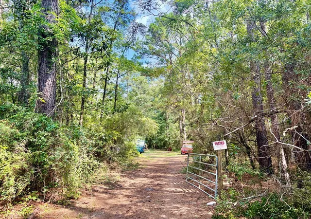 2nd image of 179 Song Bird Dr, Round O, SC 29474 | MLS# 26021905