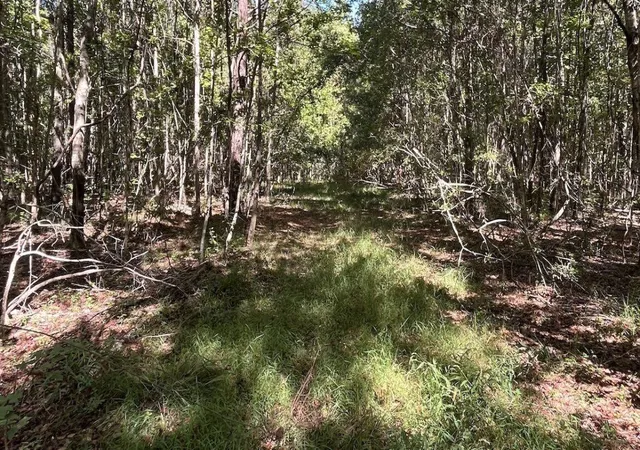5th image of 0 Mcleod, Walterboro, SC 29488 | MLS# 26024003
