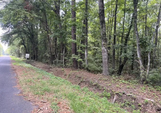 Photo 2 of Land for sale at 00 Henry St, Walterboro, SC 29488 | MLS# 26020032 | Listing updated on 2026-09-10