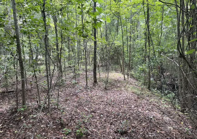 Photo 3 of Land for sale at 00 Henry St, Walterboro, SC 29488 | MLS# 26020032 | Listing updated on 2026-09-10