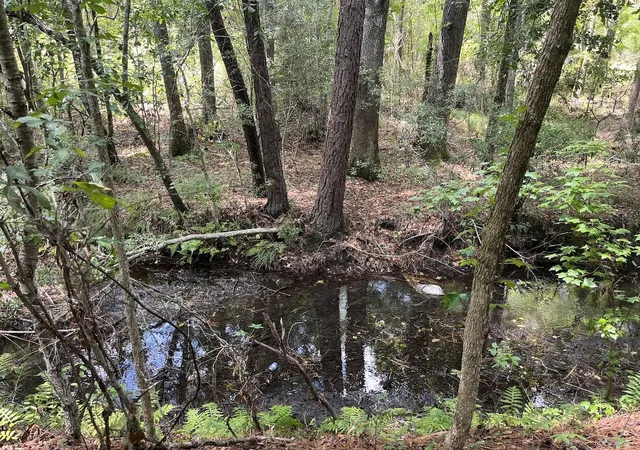 Photo 4 of Land for sale at 00 Henry St, Walterboro, SC 29488 | MLS# 26020032 | Listing updated on 2026-09-10