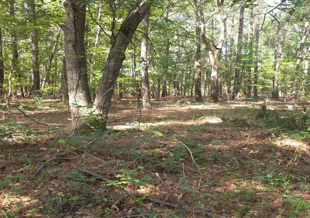 Photo 3 of Land for sale at 1142 Choice Rd, Johns Island, SC 29455 | MLS# 25028997 | Listing updated on 2025-10-28