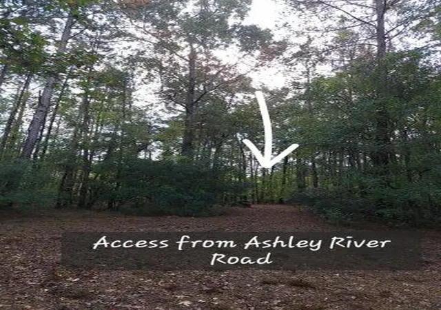 Photo 2 of Land for sale at 00 Ashley River Rd, Summerville, SC 29485 | MLS# 25016190 | Listing updated on 2026-07-01