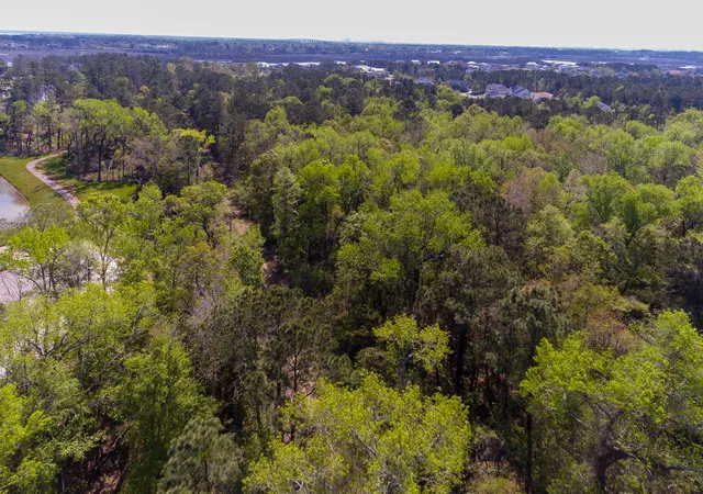 Photo 4 of Land for sale at 0 Joyner Ln, Charleston, SC 29492 | MLS# 26003515 | Listing updated on 2026-08-11