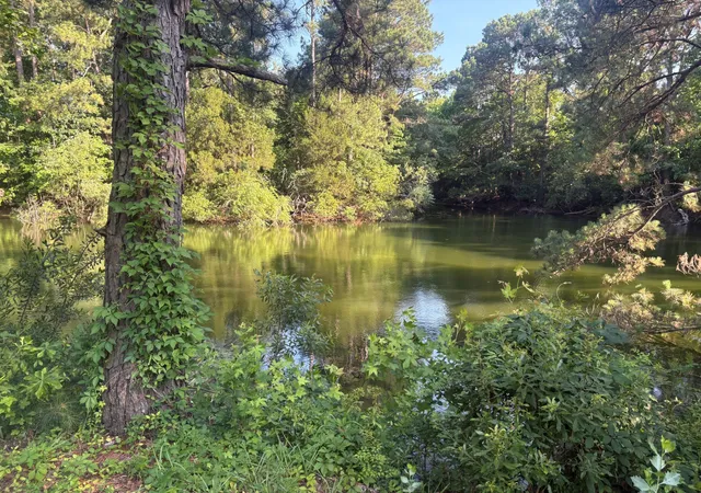 Photo 2 of Single family home for sale at 2014 Saphire Ct, Mount Pleasant, SC 29466 | MLS# 26018453 | Listing updated on 2026-08-24