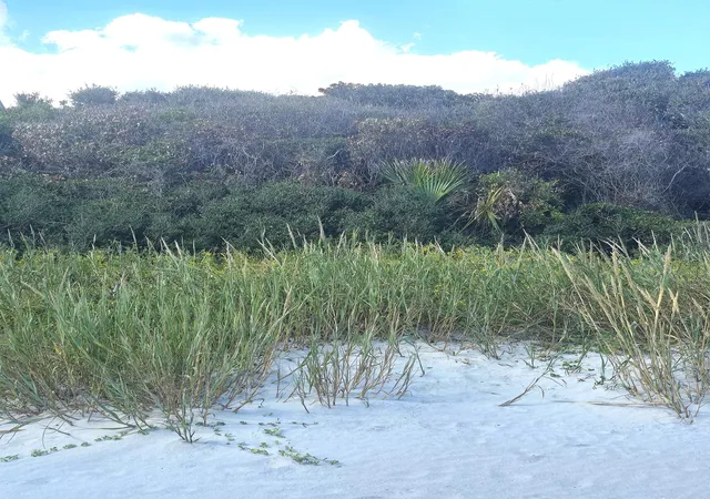 Photo 2 of Land for sale at 1217 E Ashley Ave, Folly Beach, SC 29439 | MLS# 26000053 | Listing updated on 2026-08-05