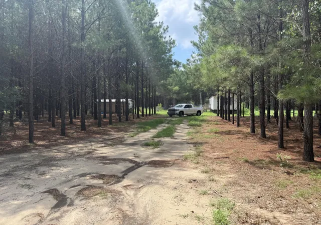 1st image of 187 Tiny Ln, Smoaks, SC 29481 | MLS# 26022128