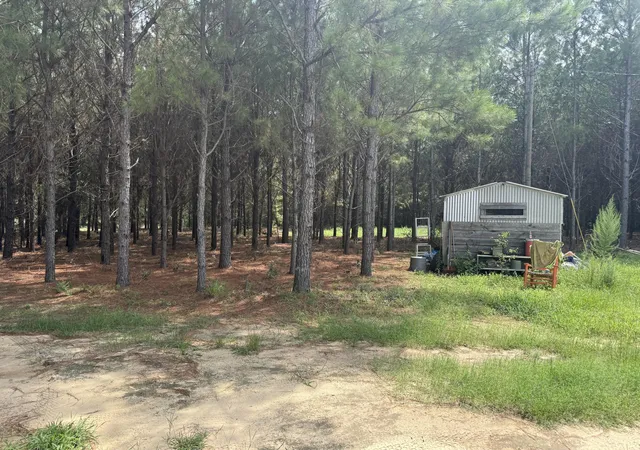 5th image of 187 Tiny Ln, Smoaks, SC 29481 | MLS# 26022128