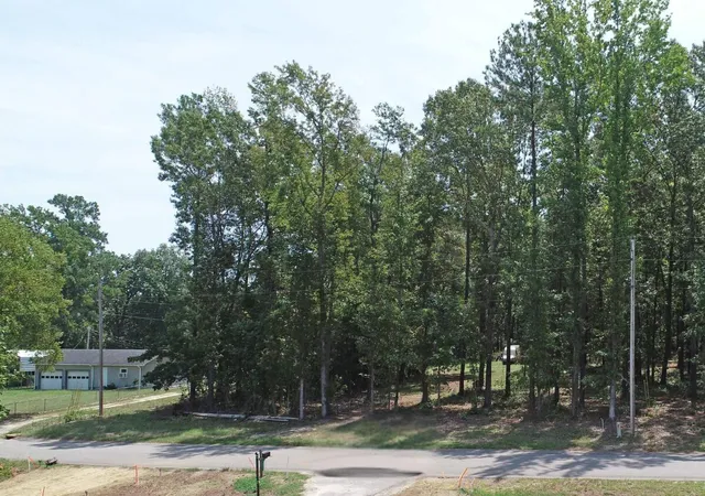 Photo 4 of Land for sale at 1073 Summerford Ln, Manning, SC 29102 | MLS# 26023686 | Listing updated on 2026-08-20