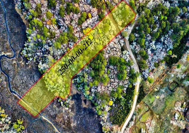 Homes for sale in Johns Island, SC | 0 Cooke Rd #Lot 1, Johns Island, SC 29455 | MLS# 26007245