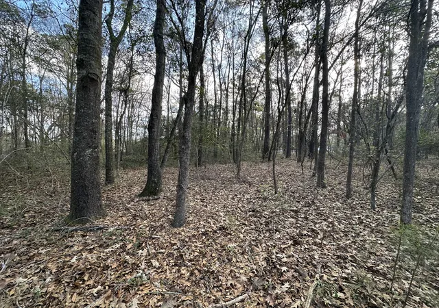 Homes for sale in Johns Island, SC | 0 Cooke Rd #Lot 1, Johns Island, SC 29455 | MLS# 26007245