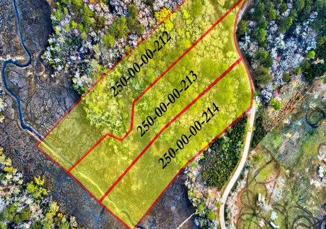 Homes for sale in Johns Island, SC | 0 Cooke Rd #Lot 1, Johns Island, SC 29455 | MLS# 26007245