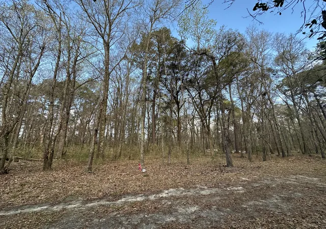 Homes for sale in Johns Island, SC | 0 Cooke Rd #Lot 1, Johns Island, SC 29455 | MLS# 26007245