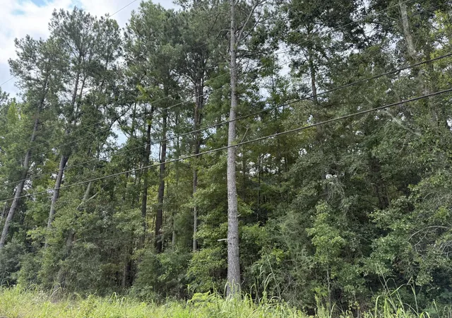Land for sale at 0 Charleston Hwy, Orangeburg, SC 29115 | MLS# 26024438
