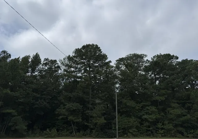 Photo 1 of Land for sale at 0 Charleston Hwy, Orangeburg, SC 29115 | MLS# 26024438 | Listing updated on 2026-08-31