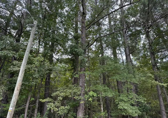 Photo 2 of Land for sale at 0 Charleston Hwy, Orangeburg, SC 29115 | MLS# 26024438 | Listing updated on 2026-08-31