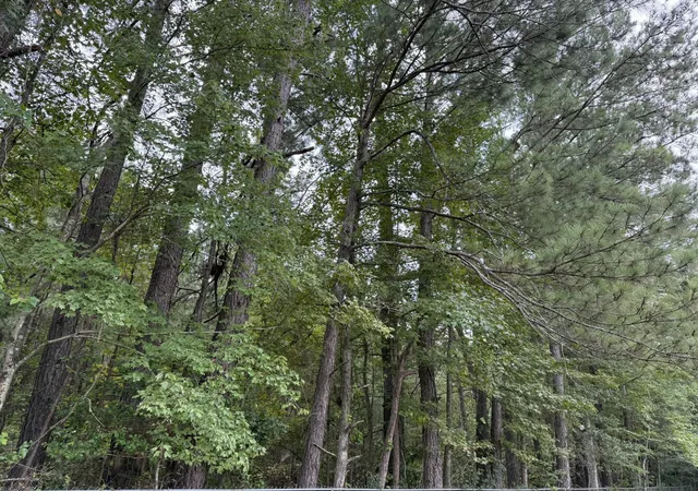 Photo 3 of Land for sale at 0 Charleston Hwy, Orangeburg, SC 29115 | MLS# 26024438 | Listing updated on 2026-08-31