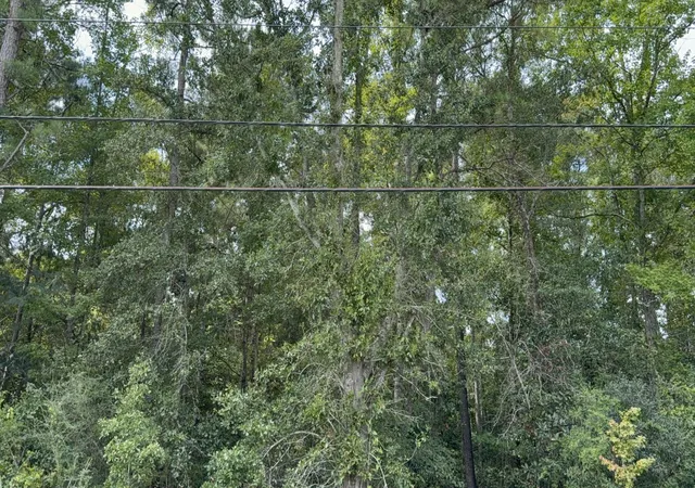 Photo 4 of Land for sale at 0 Charleston Hwy, Orangeburg, SC 29115 | MLS# 26024438 | Listing updated on 2026-08-31