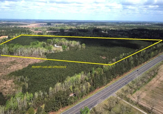 Homes for sale in Saint Matthews, SC | 305 Ponderosa Rd, Saint Matthews, SC 29135 | MLS# 26009602