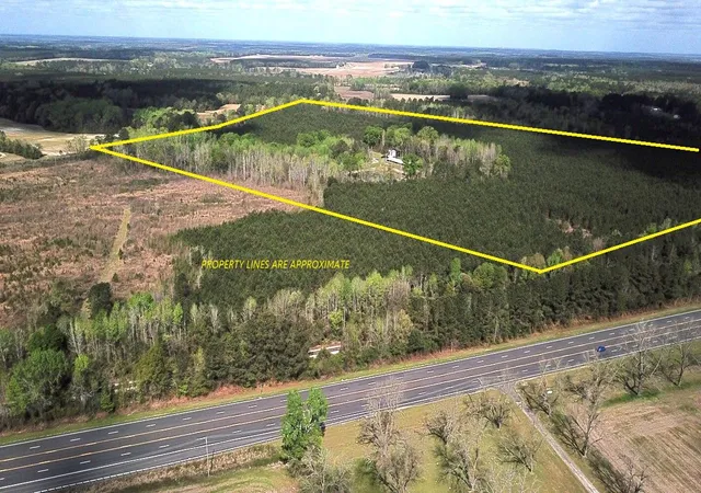 Homes for sale in Saint Matthews, SC | 305 Ponderosa Rd, Saint Matthews, SC 29135 | MLS# 26009602