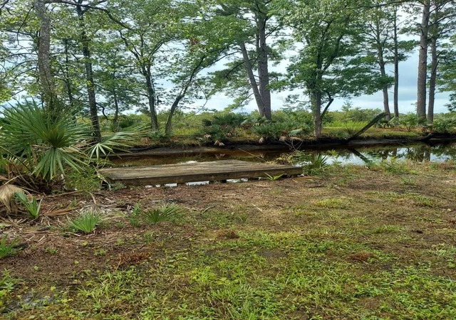 1st image of 4083 Prices Bridge Ln, Walterboro, SC 29488 | MLS# 26022162