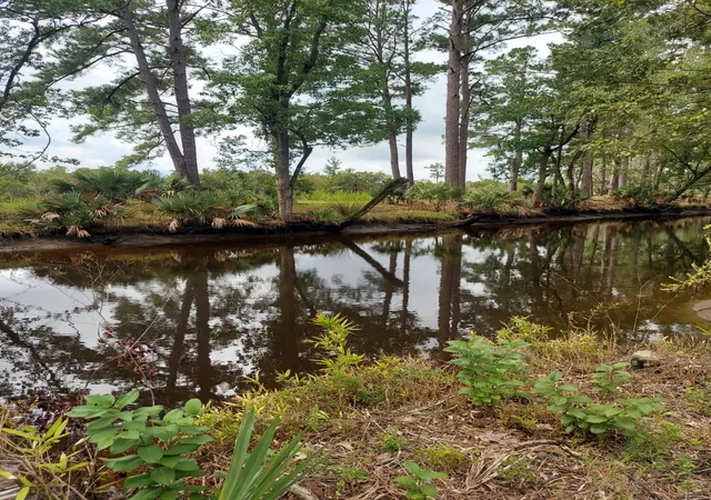 Photo 3 of Land for sale at 4083 Prices Brg Ln, Walterboro, SC 29488 | MLS# 26022162 | Listing updated on 2026-09-05
