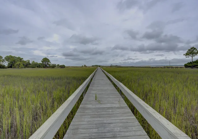 Homes for sale in Dewees Island, SC | 133 Dewees Inlet Dr, Dewees Island, SC 29451 | MLS# 25009337