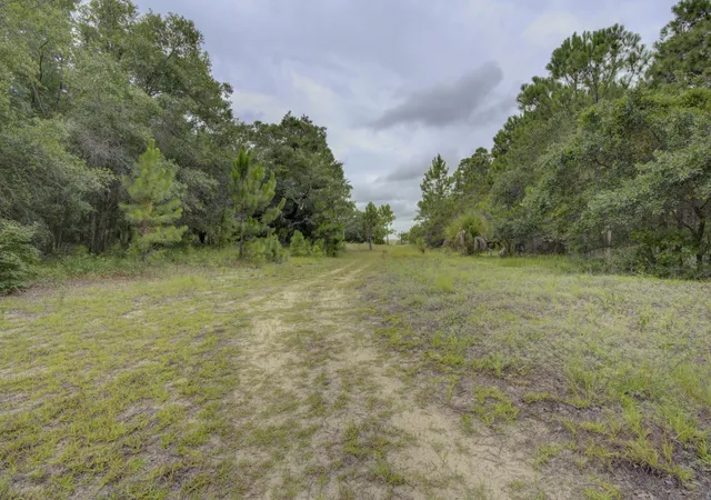 Homes for sale in Dewees Island, SC | 133 Dewees Inlet Dr, Dewees Island, SC 29451 | MLS# 25009337