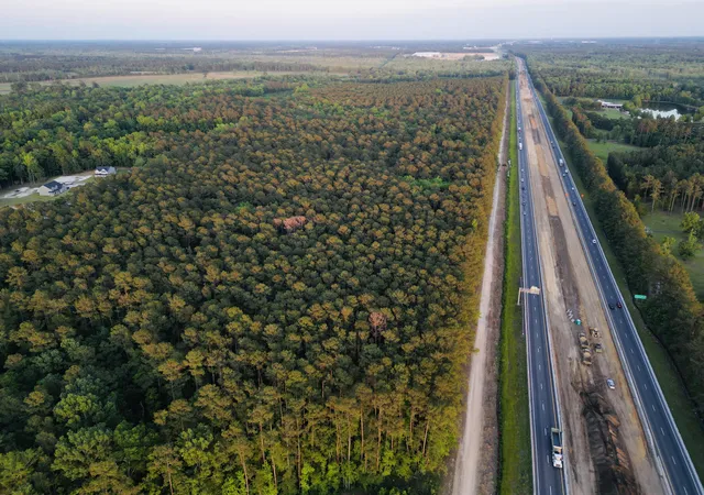 Photo 2 of Land for sale at 00 Fivel Ln, Ridgeville, SC 29472 | MLS# 24014339 | Listing updated on 2025-04-23