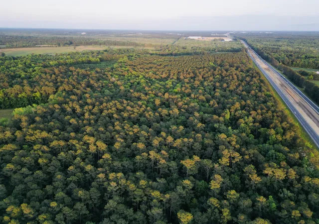 Photo 3 of Land for sale at 00 Fivel Ln, Ridgeville, SC 29472 | MLS# 24014339 | Listing updated on 2025-04-23