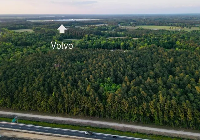 Photo 4 of Land for sale at 00 Fivel Ln, Ridgeville, SC 29472 | MLS# 24014339 | Listing updated on 2025-04-23