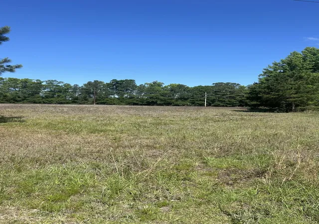 1st image of 0 Pleasant Grove Rd, Walterboro, SC 29488 | MLS# 26016061