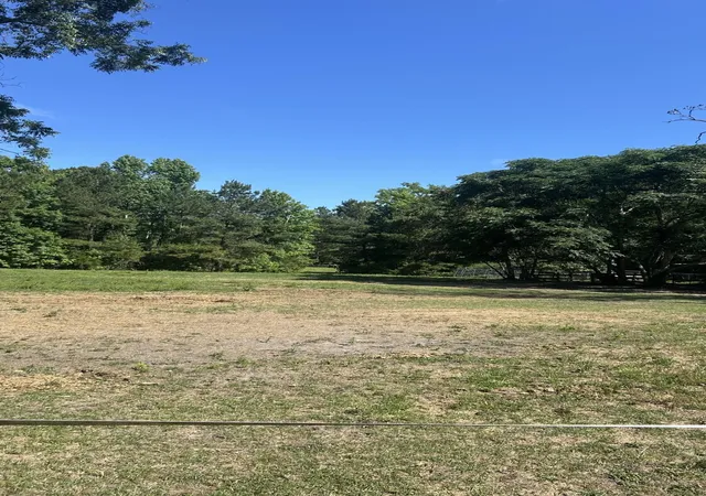 7th image of 0 Pleasant Grove Rd, Walterboro, SC 29488 | MLS# 26016061