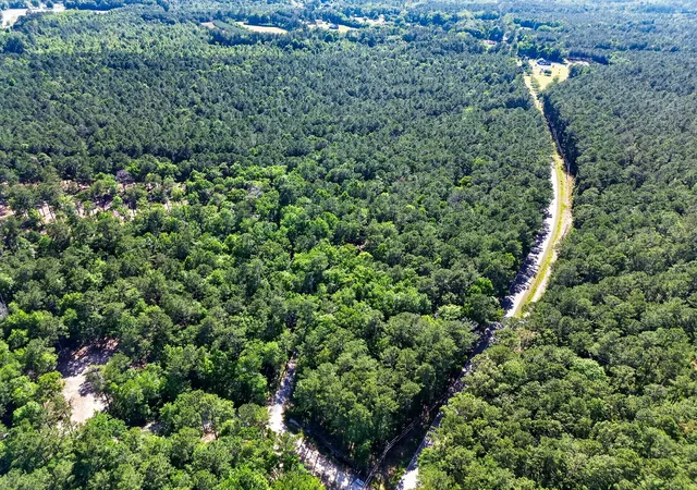Photo 2 of Land for sale at 0 Longridge Rd, Moncks Corner, SC 29461 | MLS# 26015344 | Listing updated on 2026-09-28