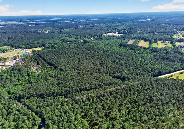 Photo 3 of Land for sale at 0 Longridge Rd, Moncks Corner, SC 29461 | MLS# 26015344 | Listing updated on 2026-09-28