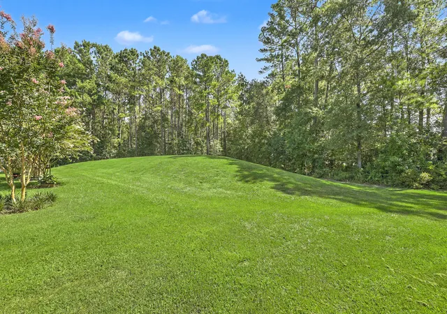 37th image of 1519 Migration Pt, Summerville, SC 29483 | MLS# 26020008