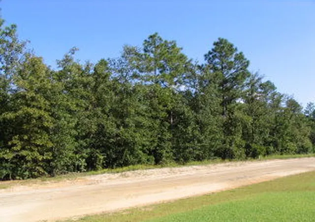 Photo 1 of Sale Pending at 0 Shore Dr #Lot 35, Orangeburg, SC 29118 | MLS# 24022398 | Listing updated on 2024-10-14