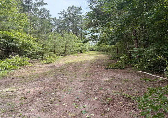 Homes for sale in Lake City, SC | 0 Cade Rd, Lake City, SC 29560 | MLS# 26016286