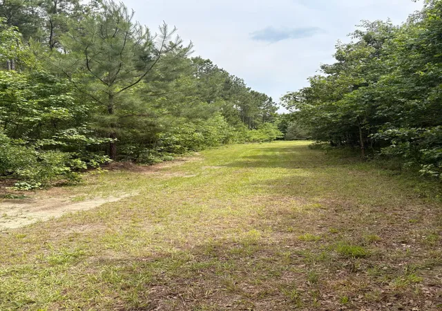 Homes for sale in Lake City, SC | 0 Cade Rd, Lake City, SC 29560 | MLS# 26016286