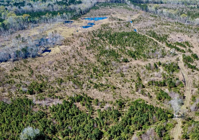 Photo 25 of Land for sale at 0 S Locust Ave, Denmark, SC 29042 | MLS# 26009114 | Listing updated on 2026-08-31