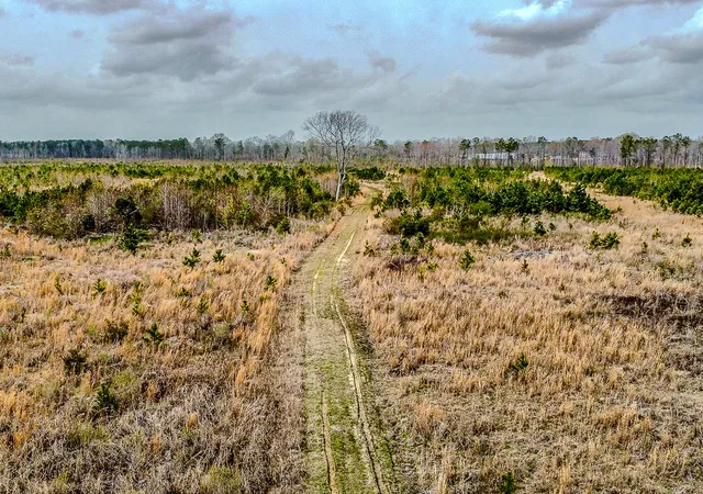 Photo 2 of Land for sale at 0 S Locust Ave, Denmark, SC 29042 | MLS# 26009114 | Listing updated on 2026-08-31