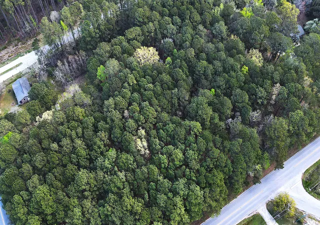 Photo 2 of Land for sale at 000 Clements Fry Rd, Charleston, SC 29492 | MLS# 26009261 | Listing updated on 2026-07-27