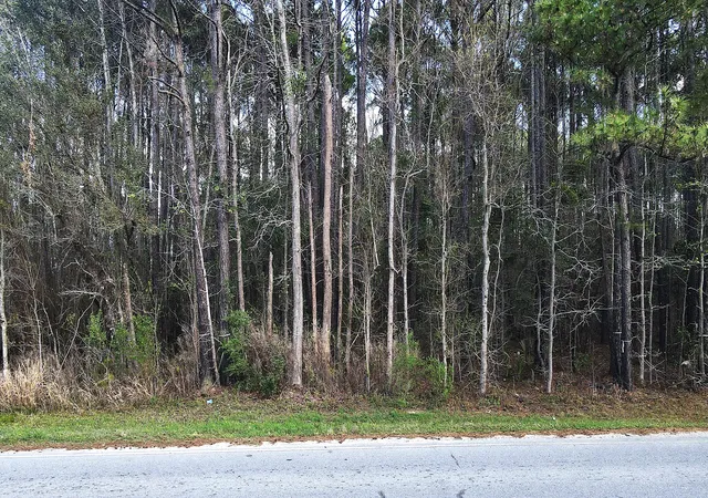 Photo 3 of Land for sale at 000 Clements Fry Rd, Charleston, SC 29492 | MLS# 26009261 | Listing updated on 2026-07-27