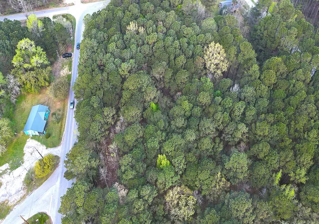 Photo 3 of Land for sale at 000 Clements Fry Rd, Charleston, SC 29492 | MLS# 26009261 | Listing updated on 2026-07-27