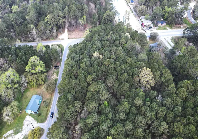 Photo 4 of Land for sale at 000 Clements Fry Rd, Charleston, SC 29492 | MLS# 26009261 | Listing updated on 2026-07-27