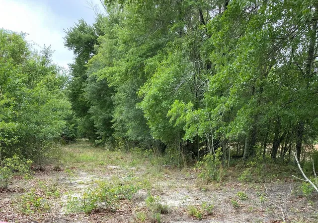Land for sale at 00 Salley Road, North, SC 29112 | MLS# 25025914