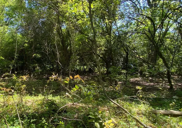Photo 1 of Land for sale at 00 Salley Road, North, SC 29112 | MLS# 25025914 | Listing updated on 2026-09-01
