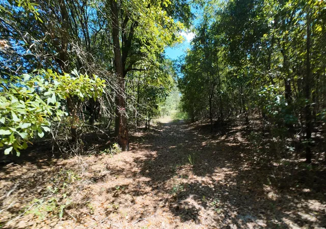 Photo 4 of Land for sale at 00 Salley Road, North, SC 29112 | MLS# 25025914 | Listing updated on 2026-09-01