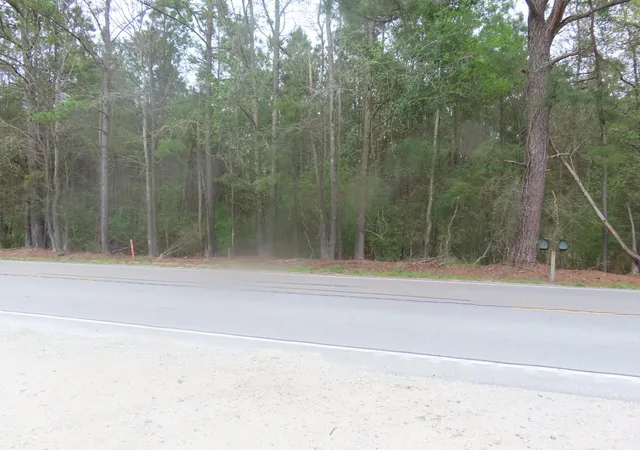 Photo 3 of Land for sale at 0 County Line Rd, Cross, SC 29436 | MLS# 26008365 | Listing updated on 2026-08-25