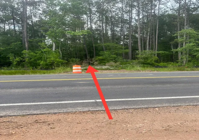 Photo 3 of Land for sale at 0 Hwy 176, Goose Creek, SC 29445 | MLS# 24011116 | Listing updated on 2026-10-08